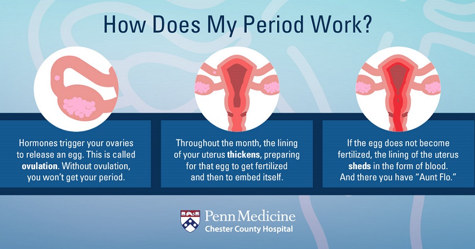 Wait, Where’s My Period? - Chester County Hospital | Penn Medicine